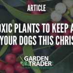 Keeping pets safe