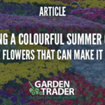 Creating a colourful summer garden