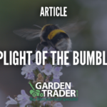 The plight of the bumblebee