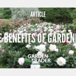 The benefits of gardening