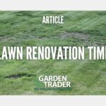 Lawn Renovation Time