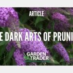 The dark arts of Pruning