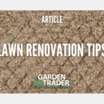Lawn Renovations – Best Tips