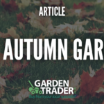 The Autumn Garden