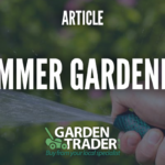 Summer gardening tips
