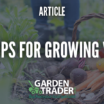 Growing your own veg