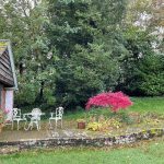 Autumn Garden Tips – How To Make The Most Of Your Outdoor Space