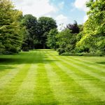 How to Create Perfect Stripes on Your Lawn