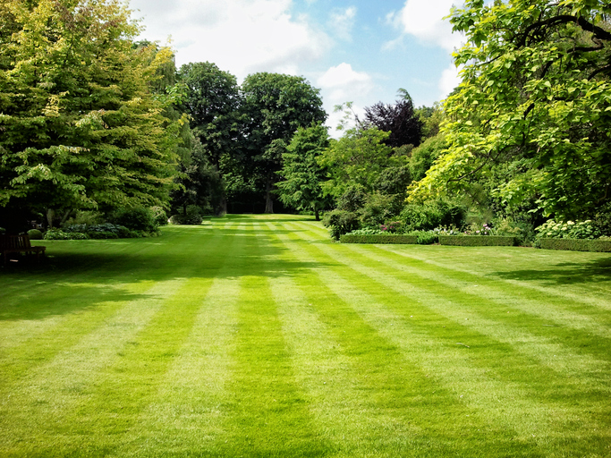Image of well cared for lawn with lawnmown stripes.