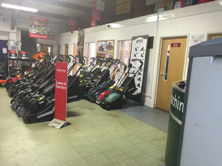 IMG 3151 768x576
