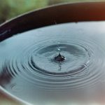 6 Ways to Conserve Water In Your Garden