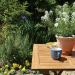Improve Your Garden This Summer with 4 Easy Steps