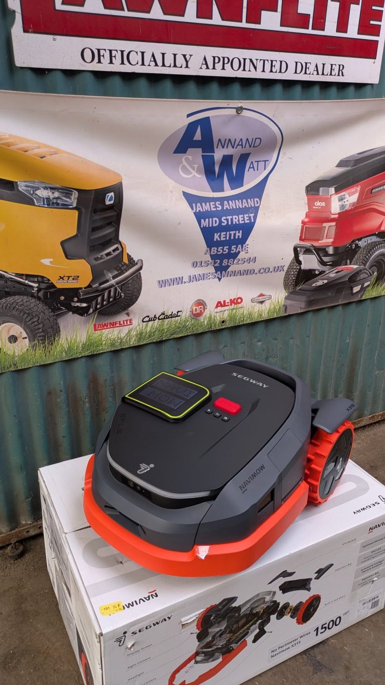 segway 768x1365